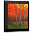 thumbnail image 1 of OToole, Tim 12x14 Black Modern Framed Museum Art Print Titled - Changing Colors II, 1 of 5