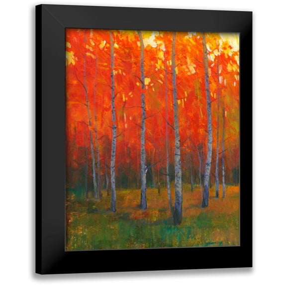 OToole, Tim 12x14 Black Modern Framed Museum Art Print Titled - Changing Colors II