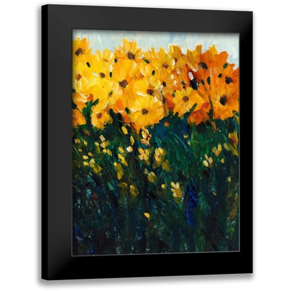 OToole, Tim 12x14 Black Modern Framed Museum Art Print Titled - Color Spectrum Flowers II