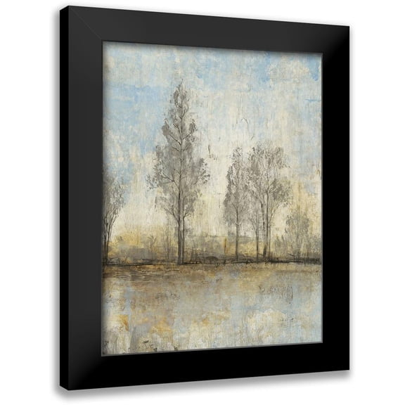 OToole, Tim 12x14 Black Modern Framed Museum Art Print Titled - Custom Quiet Nature II