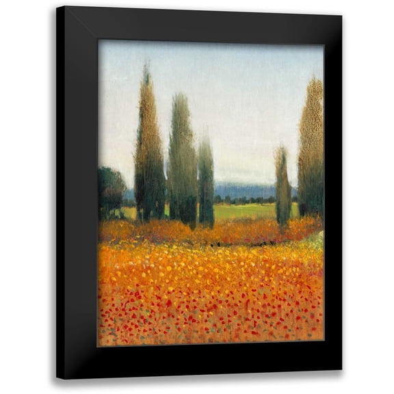 OToole, Tim 12x14 Black Modern Framed Museum Art Print Titled - Cypress Trees II
