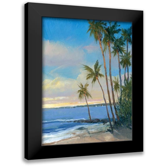OToole, Tim 12x14 Black Modern Framed Museum Art Print Titled - Tropical Breeze I