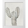 thumbnail image 1 of OToole, Tim 12x14 White Modern Wood Framed Museum Art Print Titled - Cactus Study II, 1 of 4
