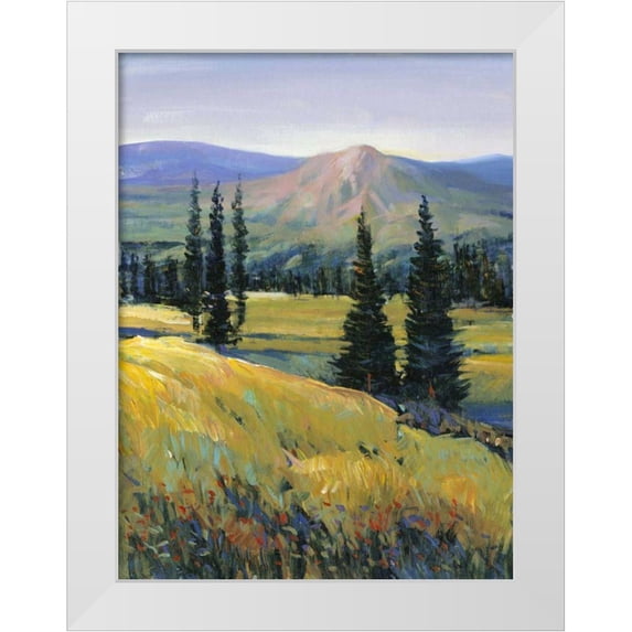OToole, Tim 12x14 White Modern Wood Framed Museum Art Print Titled - Purple Mountain Majesty II