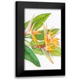 thumbnail image 1 of OToole, Tim 12x18 Black Modern Framed Museum Art Print Titled - Exotic Flowers II, 1 of 5