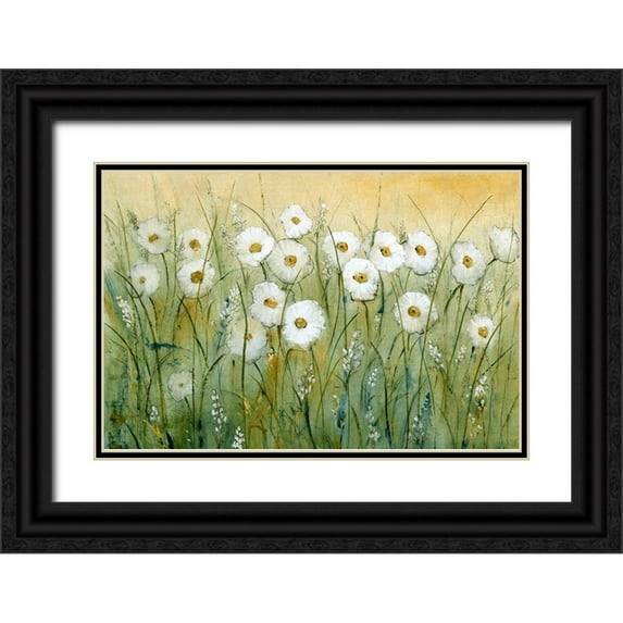 OToole, Tim 14x11 Black Ornate Wood Framed with Double Matting Museum Art Print Titled - Daisy Spring I