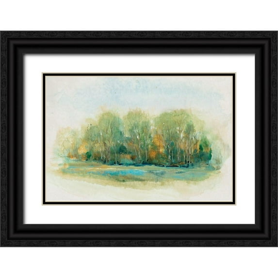 OToole, Tim 14x11 Black Ornate Wood Framed with Double Matting Museum Art Print Titled - Forest Vignette I