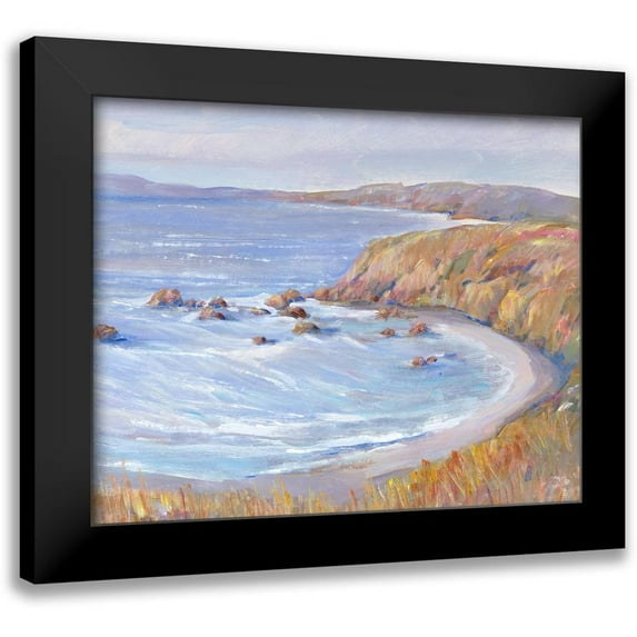 OToole, Tim 14x12 Black Modern Framed Museum Art Print Titled - Along the Coast II