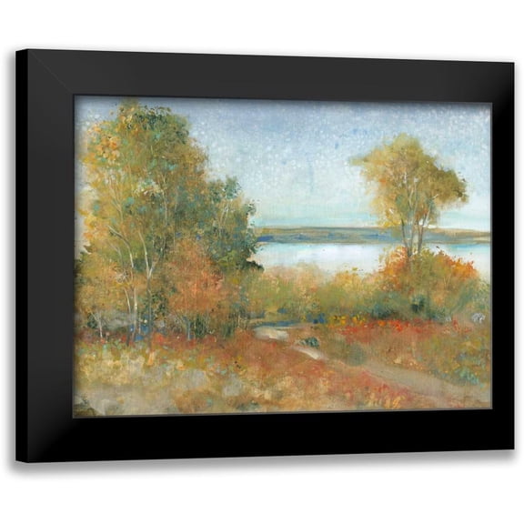 OToole, Tim 14x12 Black Modern Framed Museum Art Print Titled - Impressions II