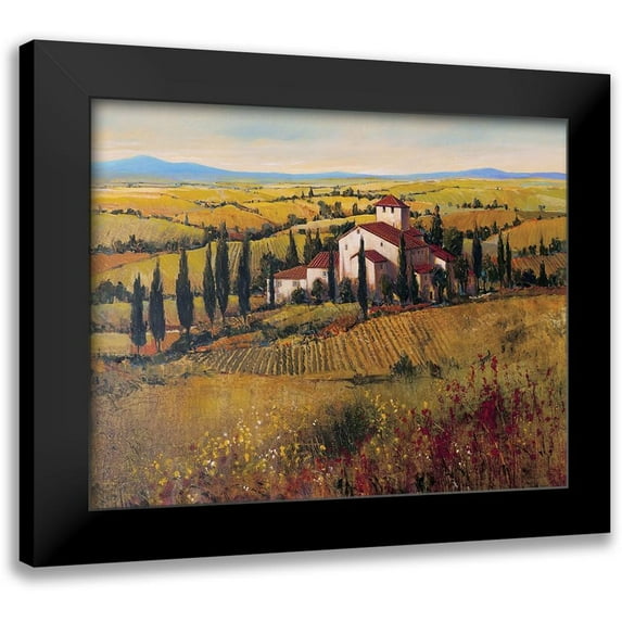 OToole, Tim 14x12 Black Modern Framed Museum Art Print Titled - Tuscany III
