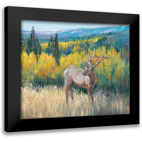 OToole, Tim 14x12 Black Modern Framed Museum Art Print Titled - View From the Top I