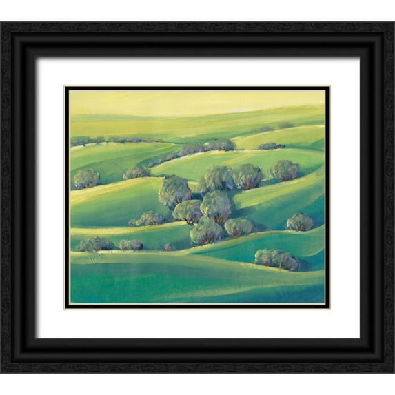 OToole, Tim 14x12 Black Ornate Wood Framed with Double Matting Museum Art Print Titled - Hillside View II
