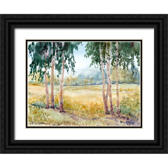 OToole, Tim 14x12 Black Ornate Wood Framed with Double Matting Museum Art Print Titled - Luminous Meadow II