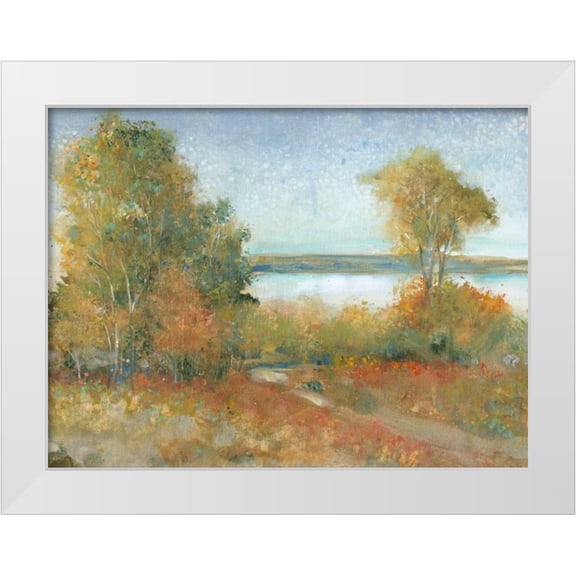 OToole, Tim 14x12 White Modern Wood Framed Museum Art Print Titled - Impressions II