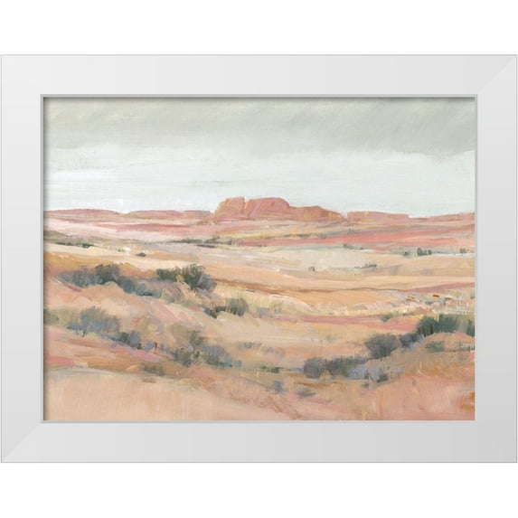 OToole, Tim 14x12 White Modern Wood Framed Museum Art Print Titled - Southwest Landscape II