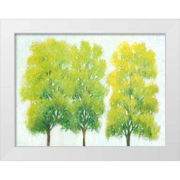 OToole, Tim 14x12 White Modern Wood Framed Museum Art Print Titled - Spring Eternal I