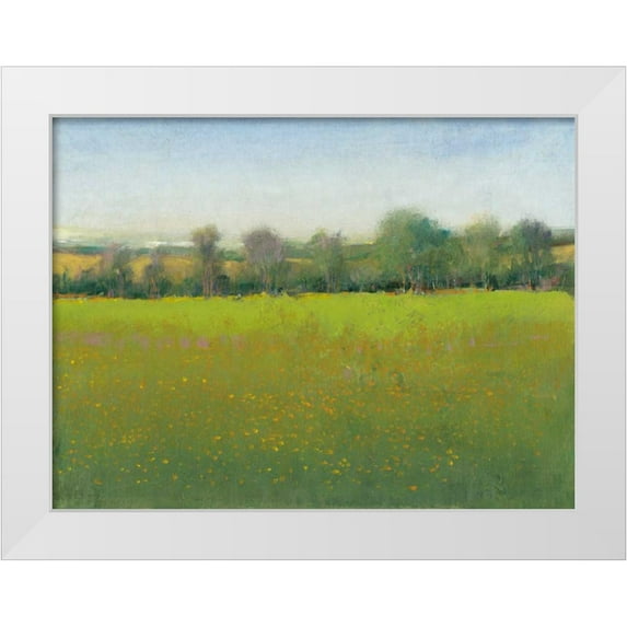 OToole, Tim 14x12 White Modern Wood Framed Museum Art Print Titled - Verdant Countryside I