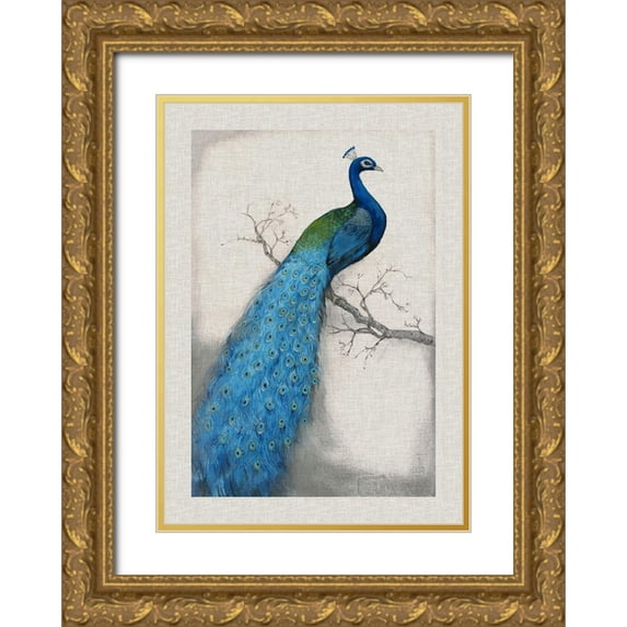 OToole, Tim 14x18 Gold Ornate Wood Framed with Double Matting Museum Art Print Titled - Custom Peacock Blue I (ASH)