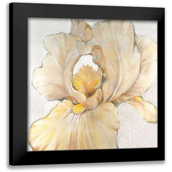 OToole, Tim 15x15 Black Modern Framed Museum Art Print Titled - Iris Cream I