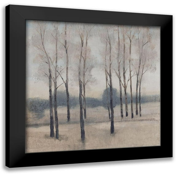 OToole, Tim 15x15 Black Modern Framed Museum Art Print Titled - Soft Light I