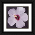 thumbnail image 1 of OToole, Tim 15x15 Black Ornate Wood Framed with Double Matting Museum Art Print Titled - Hibiscus Portrait I, 1 of 4