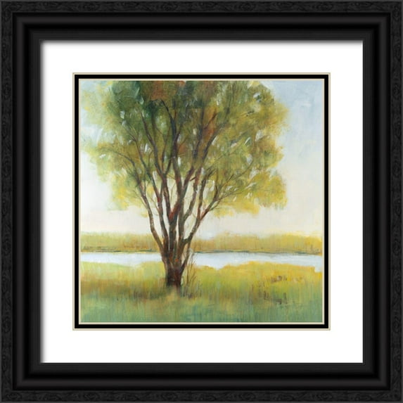 OToole, Tim 15x15 Black Ornate Wood Framed with Double Matting Museum Art Print Titled - Shade Tree I