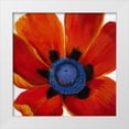 thumbnail image 1 of OToole, Tim 15x15 White Modern Wood Framed Museum Art Print Titled - Close-Up II, 1 of 4