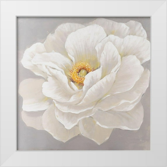 OToole, Tim 15x15 White Modern Wood Framed Museum Art Print Titled - White Peony I