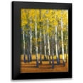 thumbnail image 1 of OToole, Tim 15x18 Black Modern Framed Museum Art Print Titled - Fall in Glory II, 1 of 5