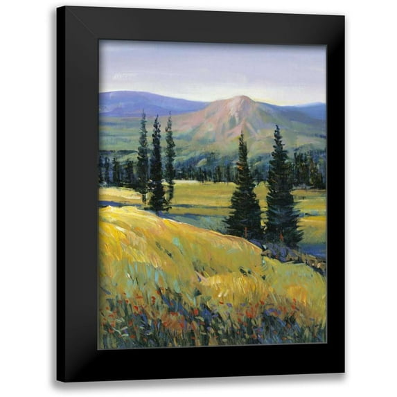 OToole, Tim 15x18 Black Modern Framed Museum Art Print Titled - Purple Mountain Majesty II