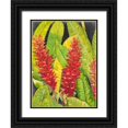 thumbnail image 1 of OToole, Tim 15x18 Black Ornate Wood Framed with Double Matting Museum Art Print Titled - Red Tropical Flowers I, 1 of 4