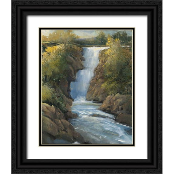 OToole, Tim 15x18 Black Ornate Wood Framed with Double Matting Museum Art Print Titled - Snow Melt II