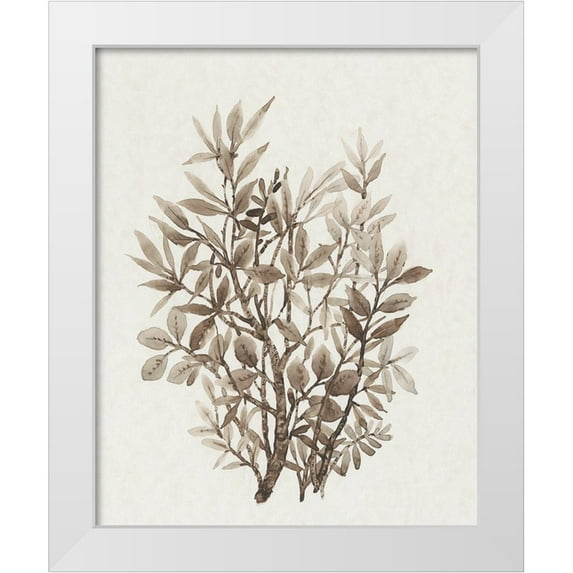 OToole, Tim 15x18 White Modern Wood Framed Museum Art Print Titled - Leaf Arrangement IV