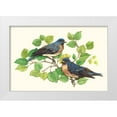 thumbnail image 1 of OToole, Tim 18x13 White Modern Wood Framed Museum Art Print Titled - Song Birds I, 1 of 4