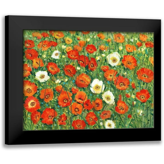 OToole, Tim 18x15 Black Modern Framed Museum Art Print Titled - Poppy Meadow II