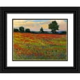 thumbnail image 1 of OToole, Tim 18x15 Black Ornate Wood Framed with Double Matting Museum Art Print Titled - Red Field II, 1 of 4