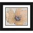 thumbnail image 1 of OToole, Tim 18x15 Black Ornate Wood Framed with Double Matting Museum Art Print Titled - Transparency Flower III, 1 of 4