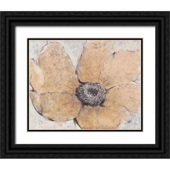 OToole, Tim 18x15 Black Ornate Wood Framed with Double Matting Museum Art Print Titled - Transparency Flower III