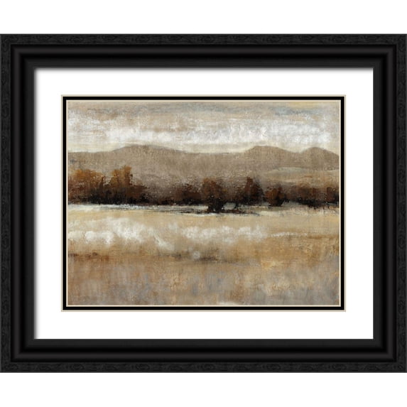 OToole, Tim 18x15 Black Ornate Wood Framed with Double Matting Museum Art Print Titled - Umber Light I
