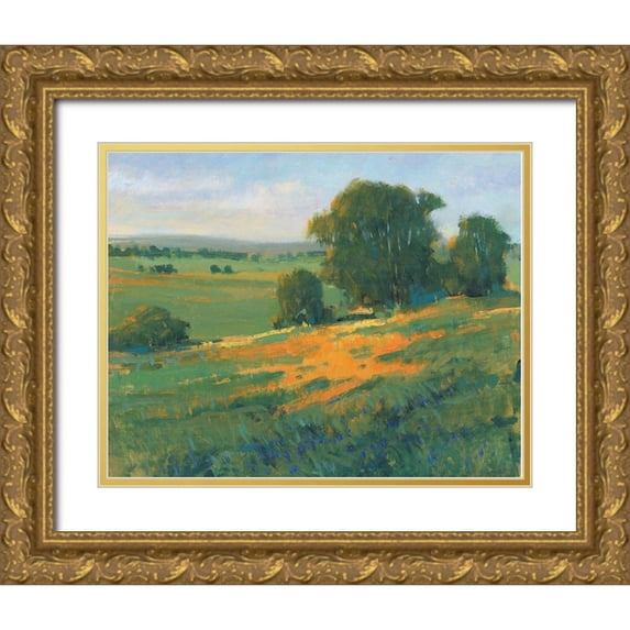 OToole, Tim 18x15 Gold Ornate Wood Framed with Double Matting Museum Art Print Titled - Poppy Fields II