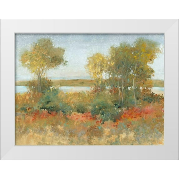 OToole, Tim 18x15 White Modern Wood Framed Museum Art Print Titled - Impressions I