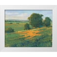 thumbnail image 1 of OToole, Tim 18x15 White Modern Wood Framed Museum Art Print Titled - Poppy Fields II, 1 of 4