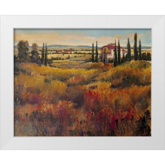 OToole, Tim 18x15 White Modern Wood Framed Museum Art Print Titled - Tuscany I