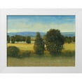 thumbnail image 1 of OToole, Tim 18x15 White Modern Wood Framed Museum Art Print Titled - Verdant Meadow I, 1 of 4