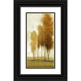 thumbnail image 1 of OToole, Tim 18x32 Black Ornate Wood Framed with Double Matting Museum Art Print Titled - Balance II, 1 of 4