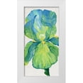 thumbnail image 1 of OToole, Tim 18x32 White Modern Wood Framed Museum Art Print Titled - Iris Bloom in Green I, 1 of 4