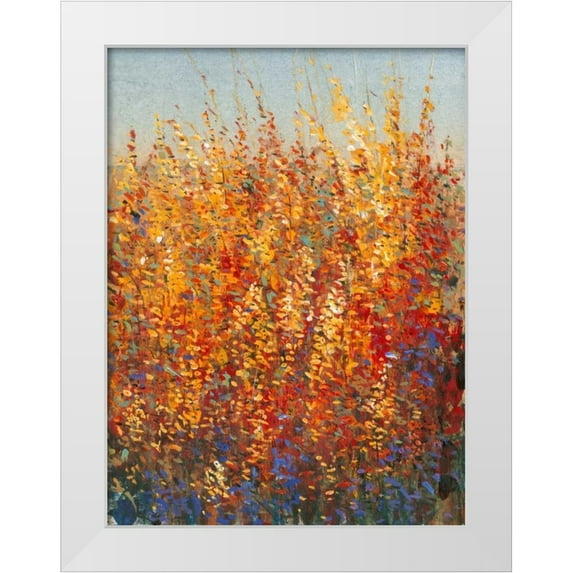 OToole, Tim 19x24 White Modern Wood Framed Museum Art Print Titled - High Desert Blossoms I