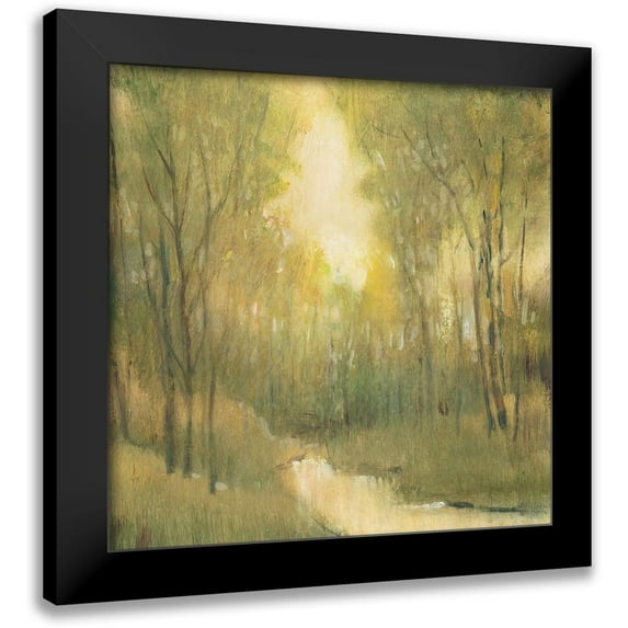 OToole, Tim 20x20 Black Modern Framed Museum Art Print Titled - Forest Sanctuary I