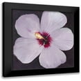thumbnail image 1 of OToole, Tim 20x20 Black Modern Framed Museum Art Print Titled - Hibiscus Portrait I, 1 of 5