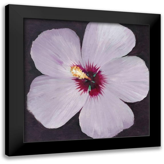 OToole, Tim 20x20 Black Modern Framed Museum Art Print Titled - Hibiscus Portrait I